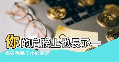 肩膀長毛|肩膀上长毛